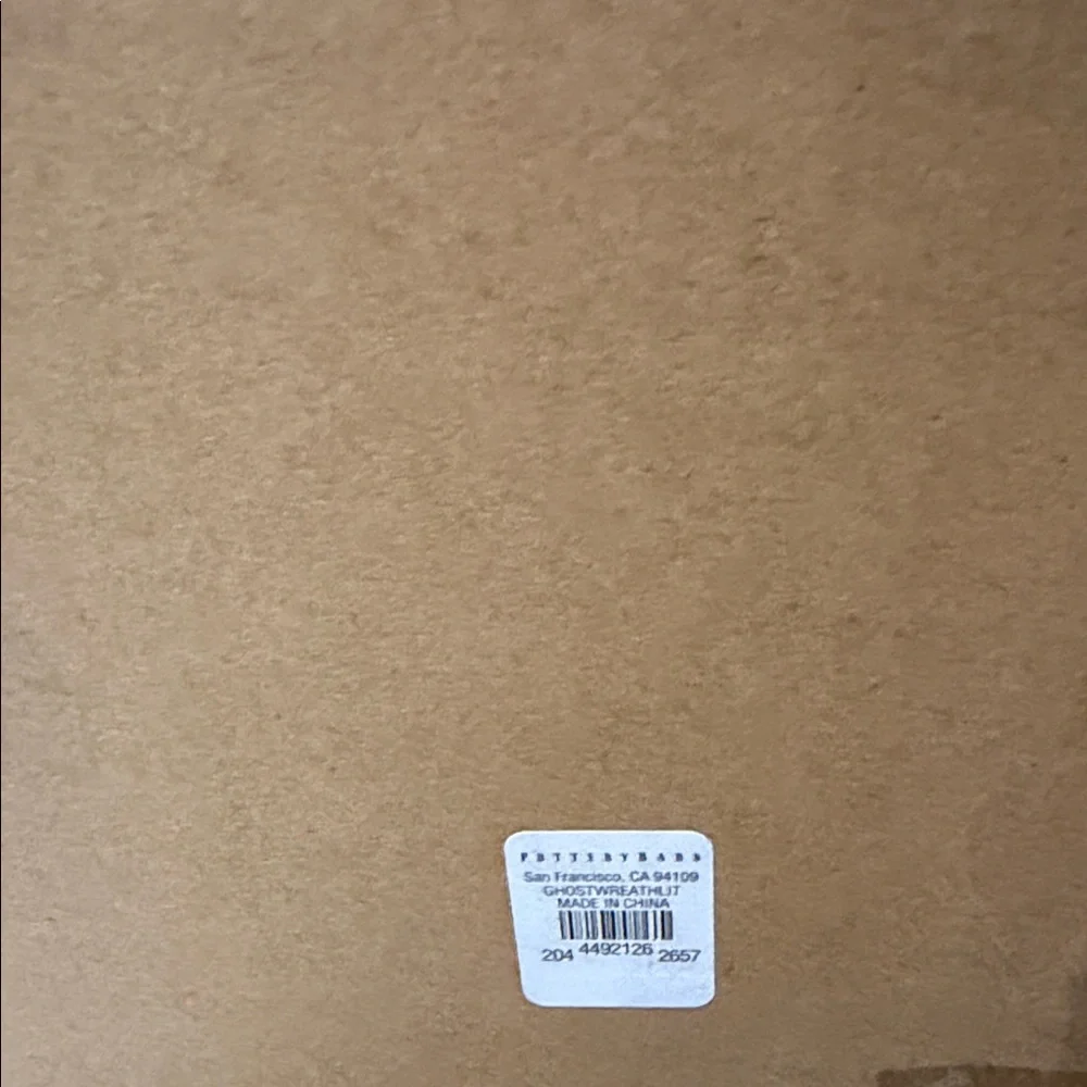 Pottery Barn Ghost 👻 Lit Wreath BNIB